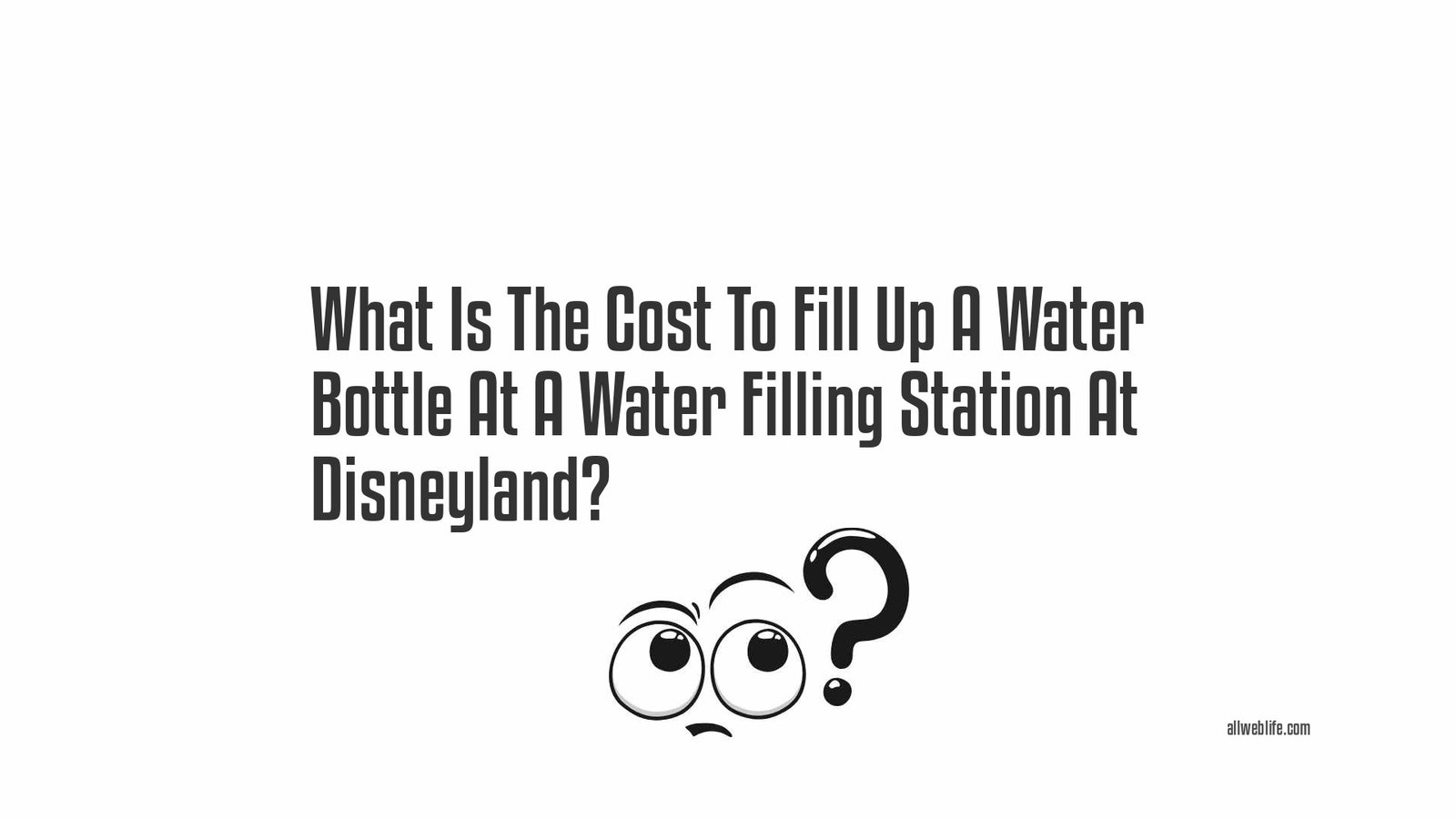 What Is The Cost To Fill Up A Water Bottle At A Water Filling Station At Disneyland?